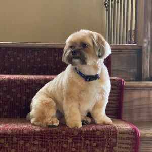 Meet your Posher, Annu